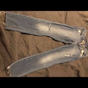 Articles of Society crop